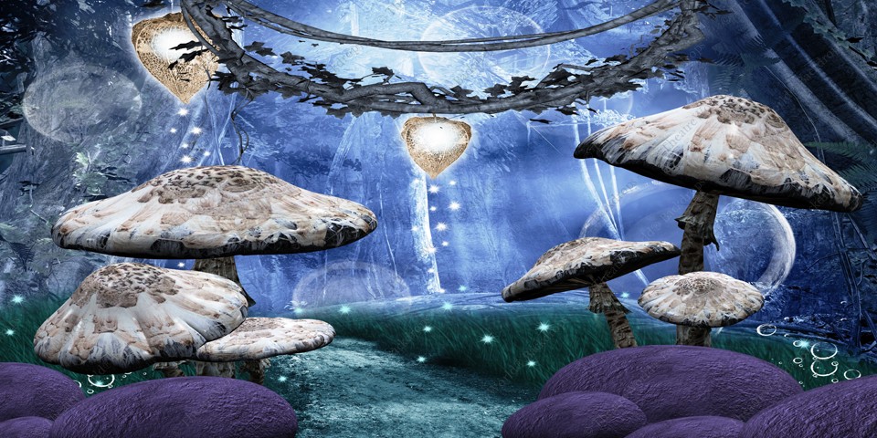 Enchanted Mushroom Path