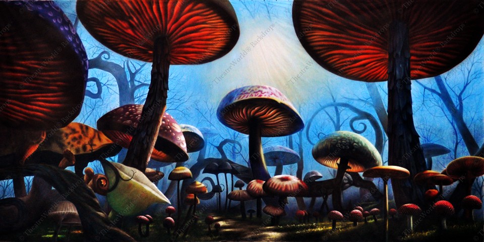 Mushroom Forest