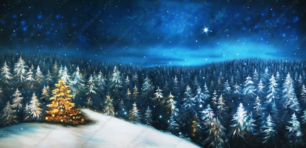 Winter Forest