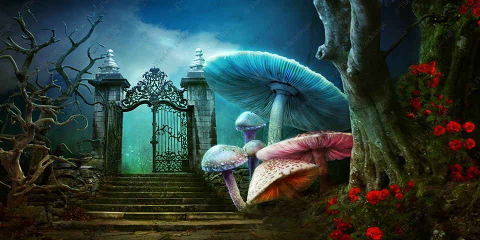 Wonderland Gate
