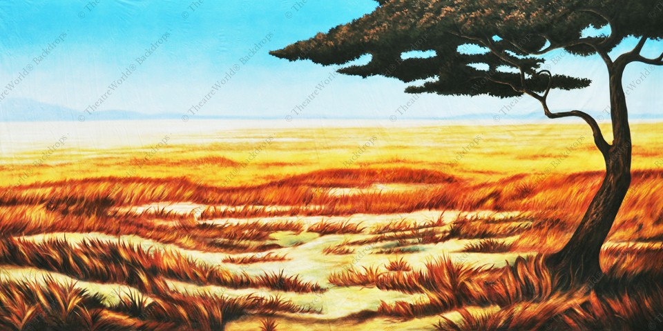 Tranquil Grasslands