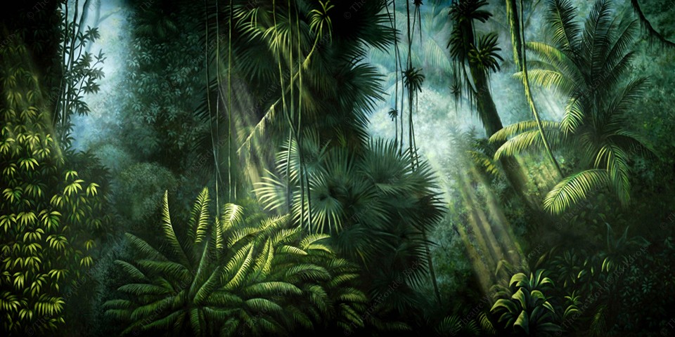 Jungle Daybreak