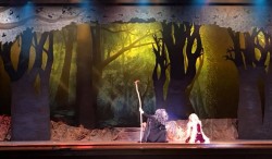 Into The Woods