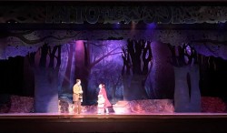 Into The Woods