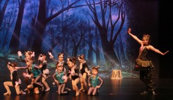 Into The Woods