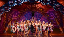 Be Our Guest Celebration Curtain