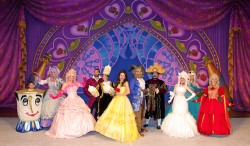 Be Our Guest Celebration Curtain