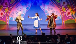 Be Our Guest Celebration Curtain