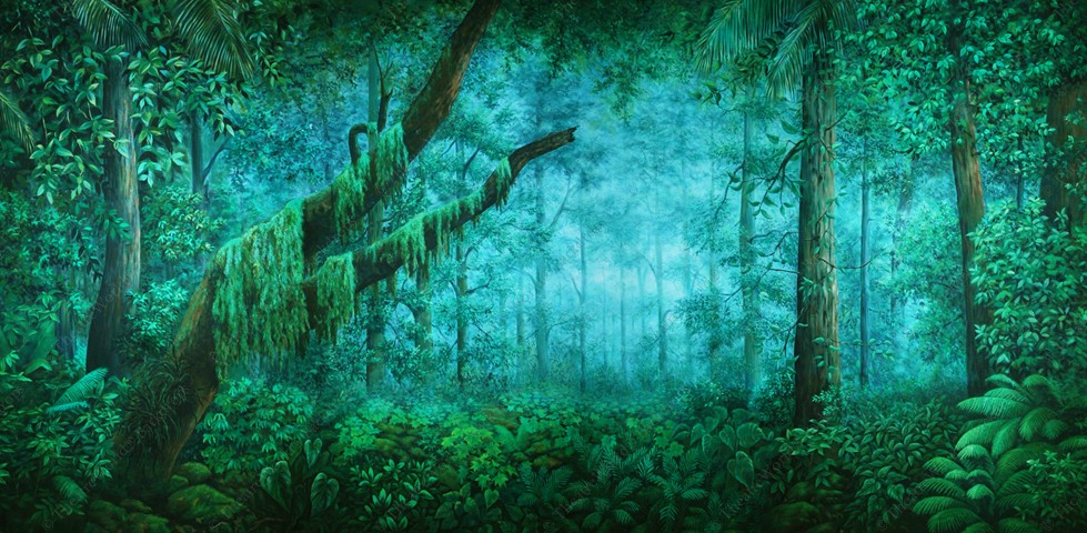Tropical Forest Daybreak