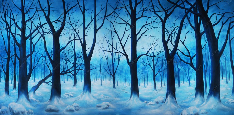 Wooded Winter Mist