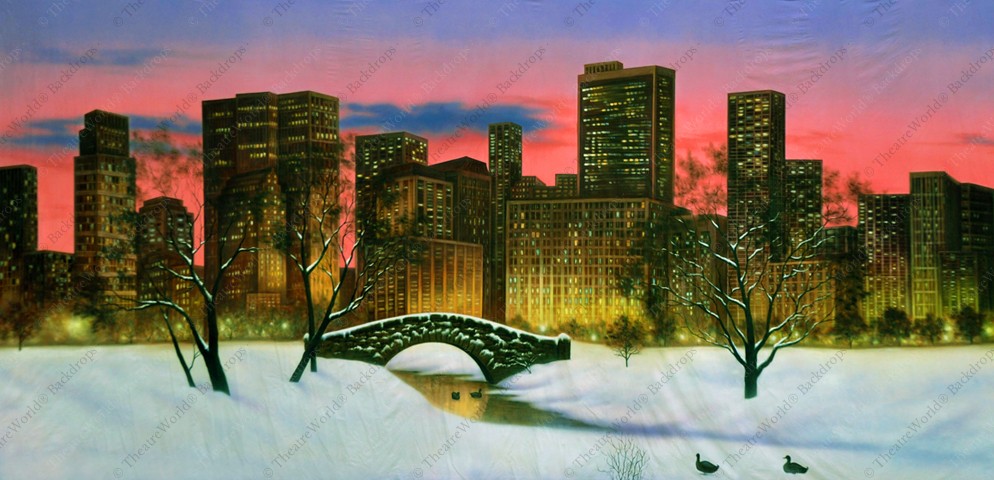 Snowy Central Park