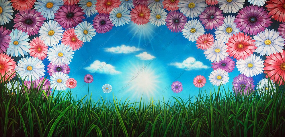 Daisies and Flowered Grass