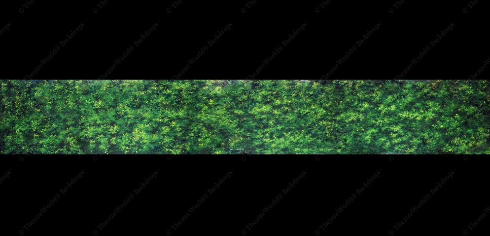 Tranquil Woods Header