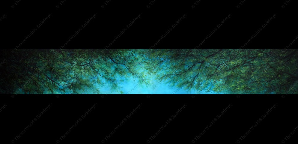 Shrek's Swamp Header