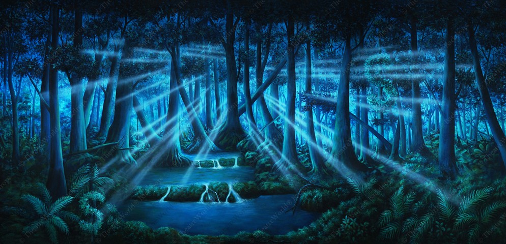 Dark And Extremely Expensive Forest