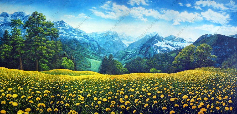 Mountain Meadow