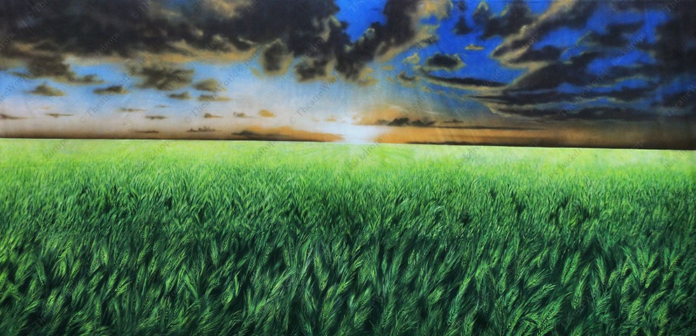 Wheatfield