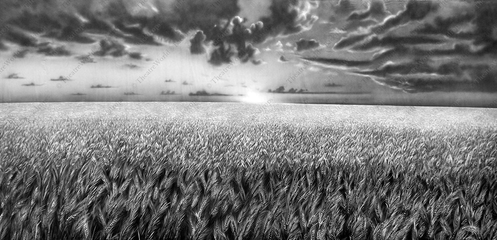 Black and White Wheatfield