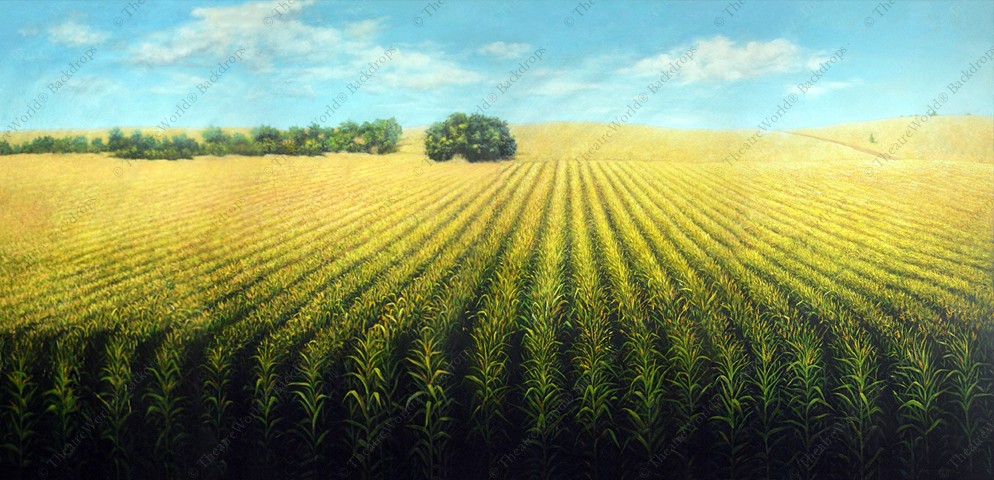Cornfield