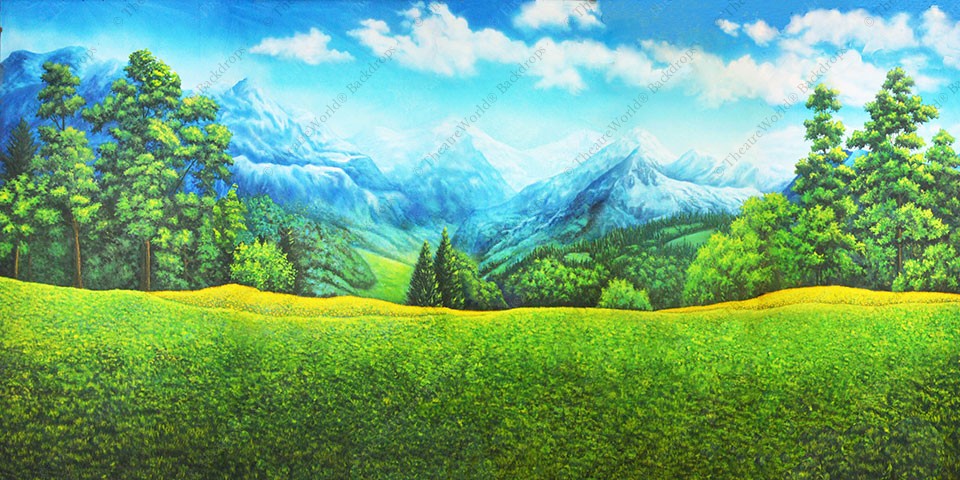 Mountain Meadow - B