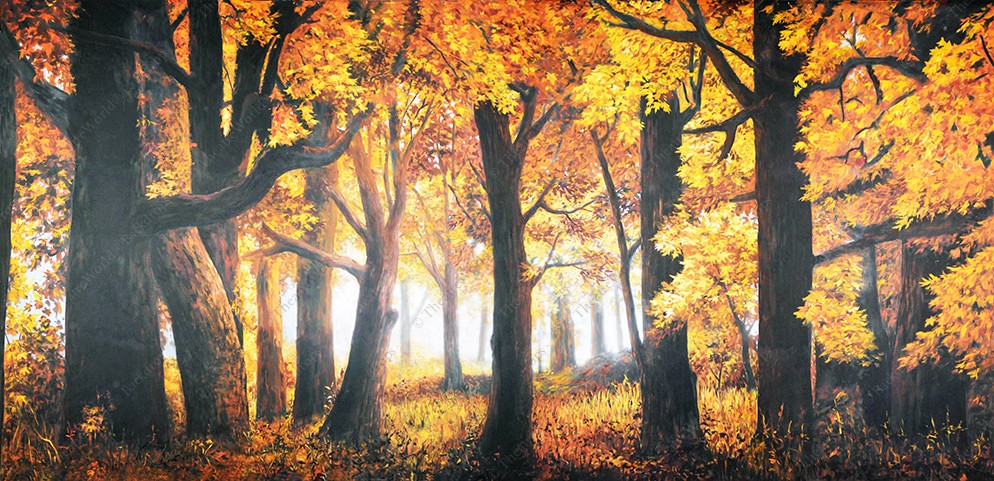 Autumn Forest Daybreak