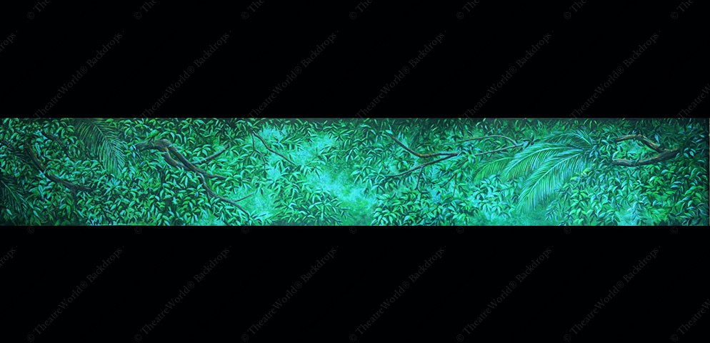 Tropical Forest Daybreak Header