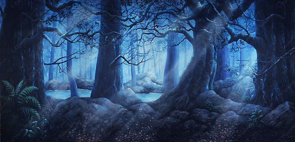 Clearing in the Woods