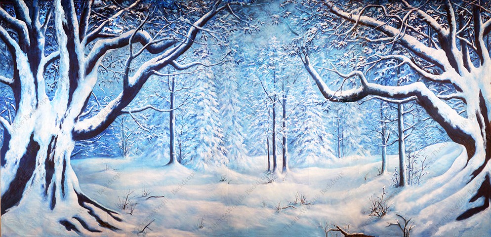 Snow Covered Woods