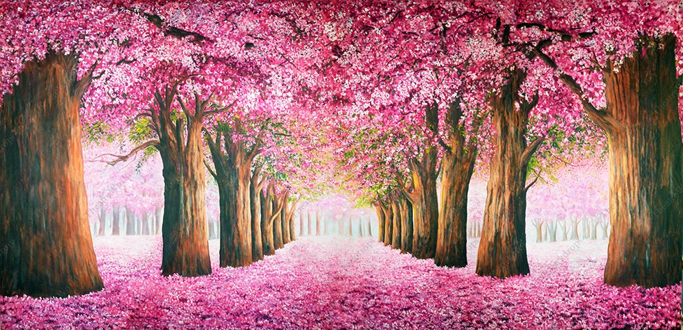 Cherry Blossom Trail