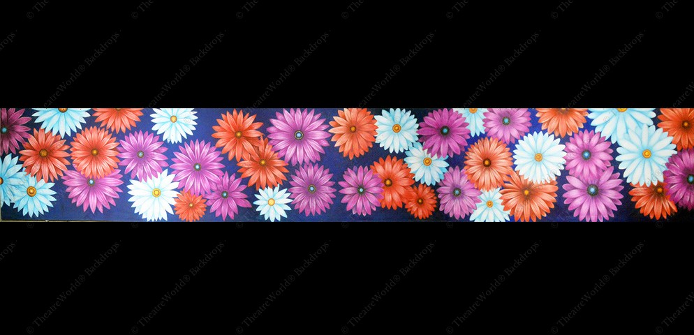 Daisies and Flowered Grass Header