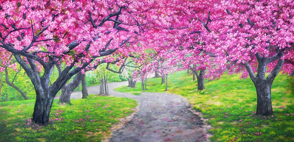 Cherry Blossom Path