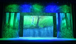Whimsical Swamp