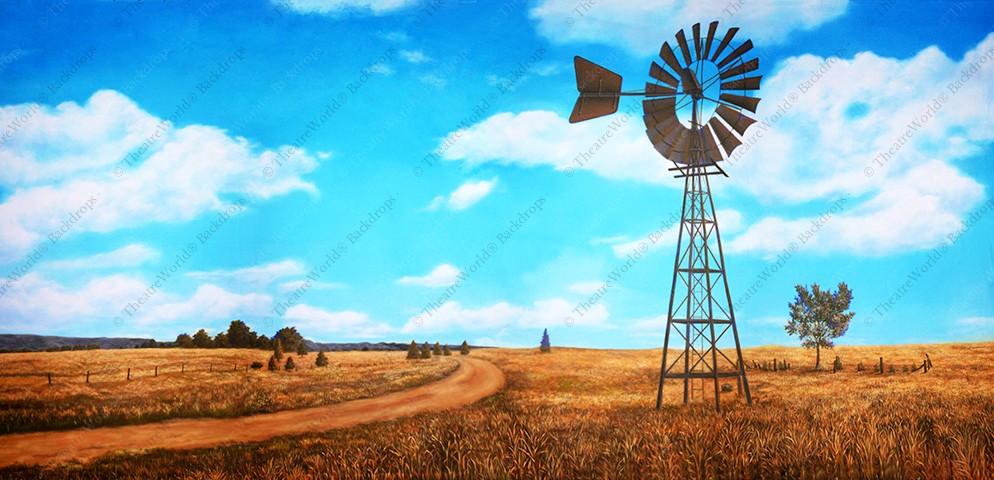 Midwestern Fields