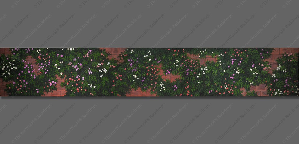 Rose Terrace Header