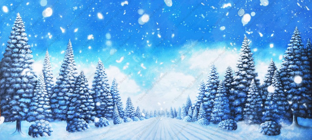 Christmas Tree Path Daytime