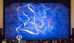 Beauty and the Beast Main Drape