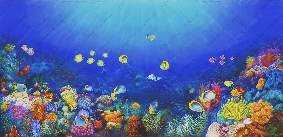 Coral Kingdom - B