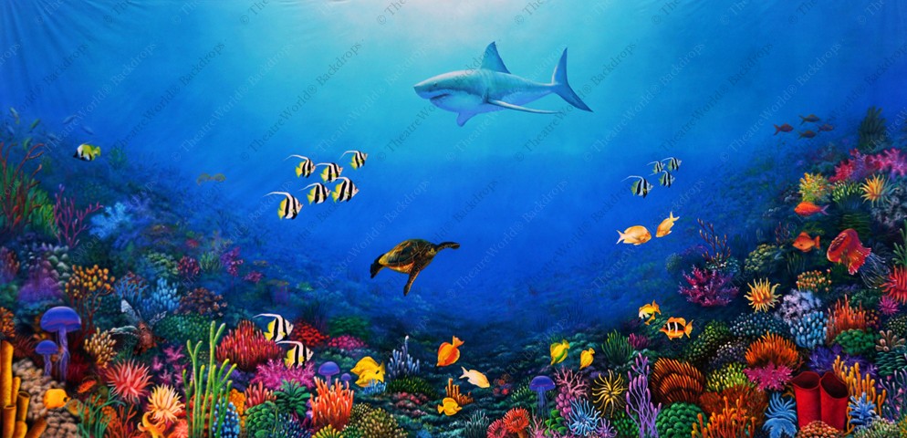 Coral Kingdom