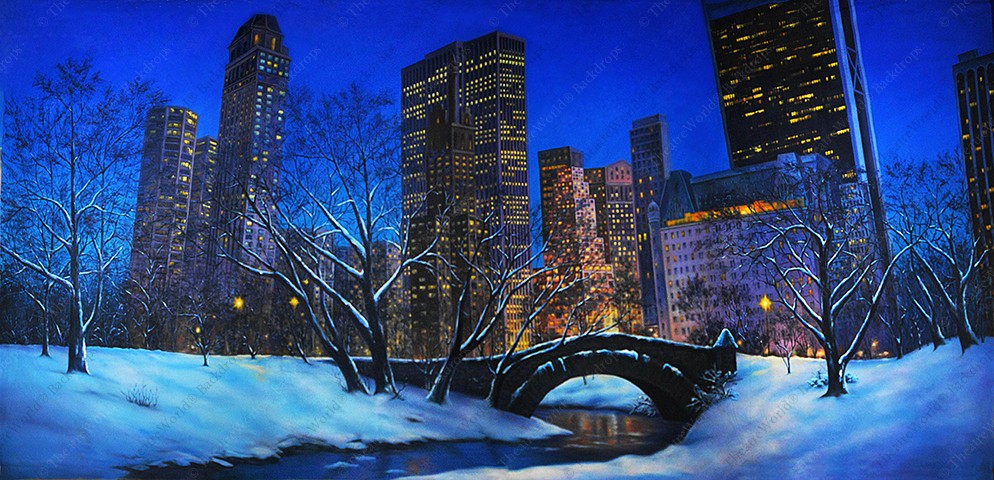Snowy Central Park - B